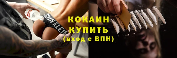 прущие грибы Протвино