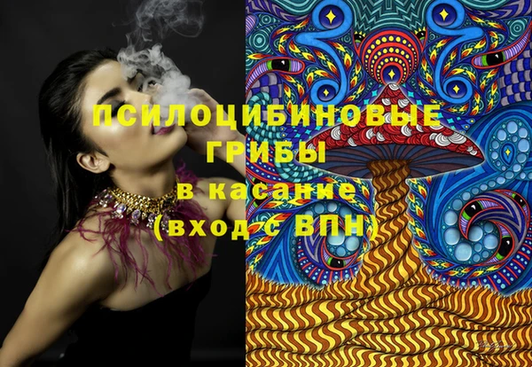 крисы Белоозёрский