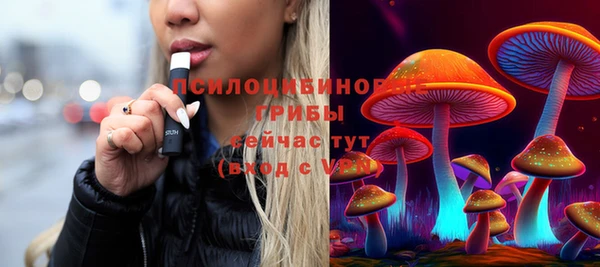 шишки Балабаново