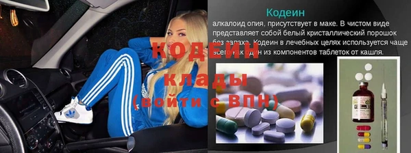 шишки Балабаново