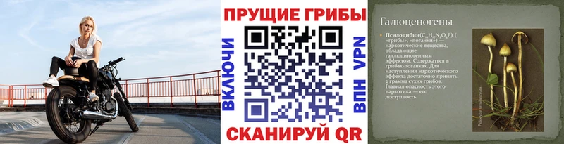 Псилоцибиновые грибы Psilocybe  наркошоп  блэк спрут онион  Вуктыл 